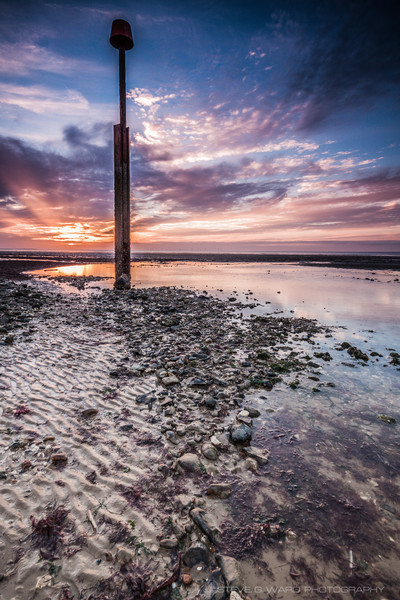  - M I N N I S  -  B A Y