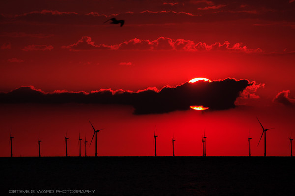 _MG_0211 - M I N N I S  -  B A Y