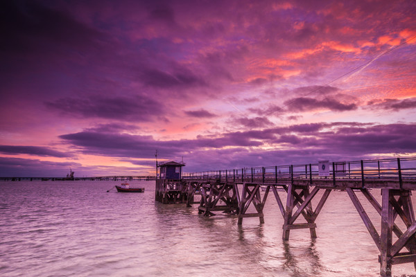 _MG_0367 - C A N V E Y I S L A N D