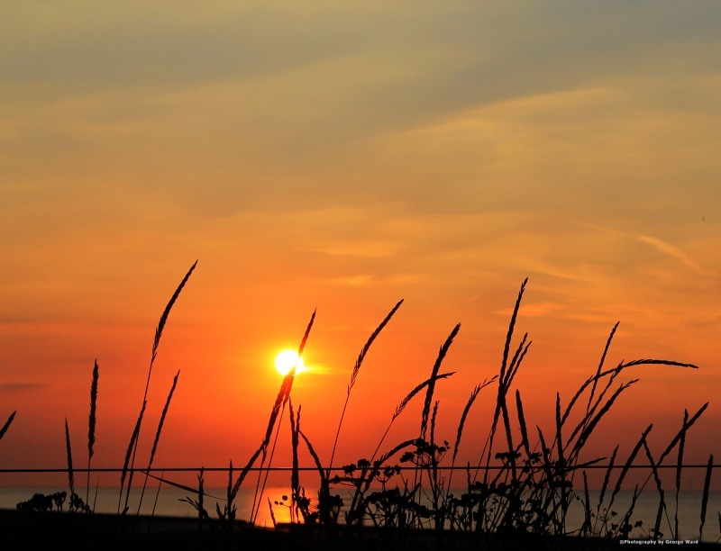 Planet, Earth, Canvas, Essex, Kent, Maldon, Maylandsea, Botany, King, Photography, sea seascapes landscapes red yellow orange sunsets river coast stre