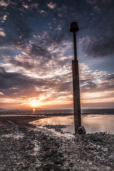  - M I N N I S  -  B A Y