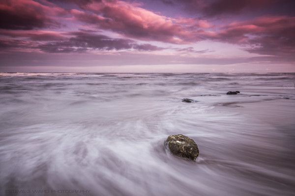 S W E R V E - B O T A N Y - B A Y