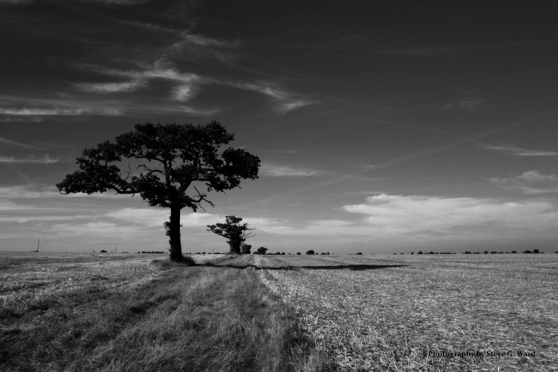 Planet, Earth, Canvas, Essex, Kent, Maldon, Maylandsea, Botany, King, Photography, sea seascapes landscapes red yellow orange sunsets river coast stre