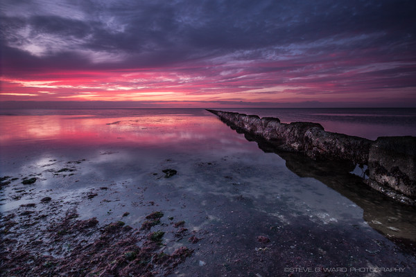  - M I N N I S  -  B A Y