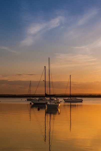 _MG_3064 - M A Y L A N D S E A