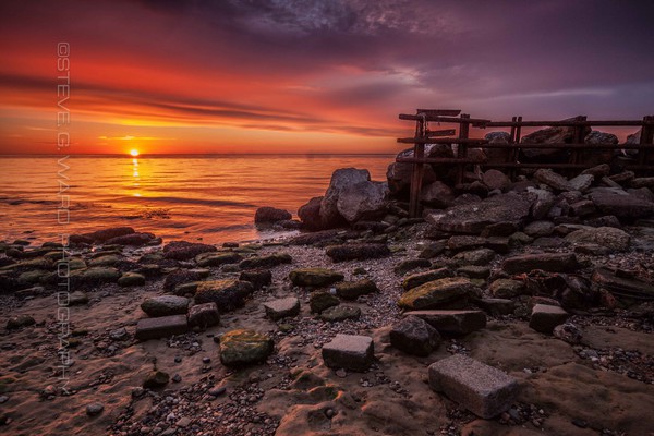 I N T R E P I D - R E C U L V E R