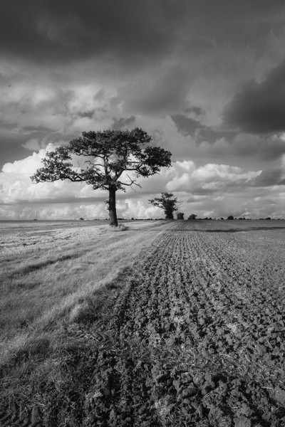 Planet, Earth, Canvas, Essex, Kent, Maldon, Maylandsea, Botany, King, Photography, sea seascapes landscapes red yellow orange sunsets river coast stre