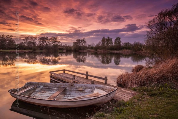 IMG_0349 - H E Y B R I D G E