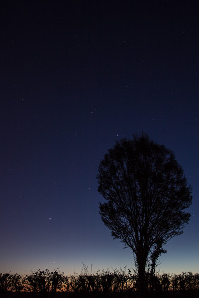 Planet, Earth, Canvas, Essex, Kent, Maldon, Maylandsea, Botany, King, Photography, sea seascapes landscapes red yellow orange sunsets river coast stre