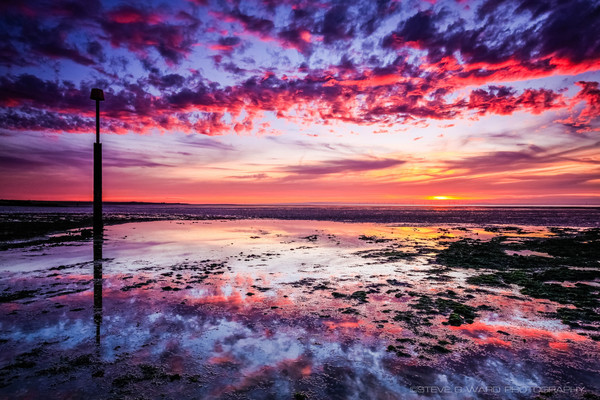 _MG_0386 - M I N N I S  -  B A Y