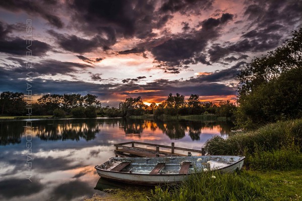 W A T C H E R - H E Y B R I D G E