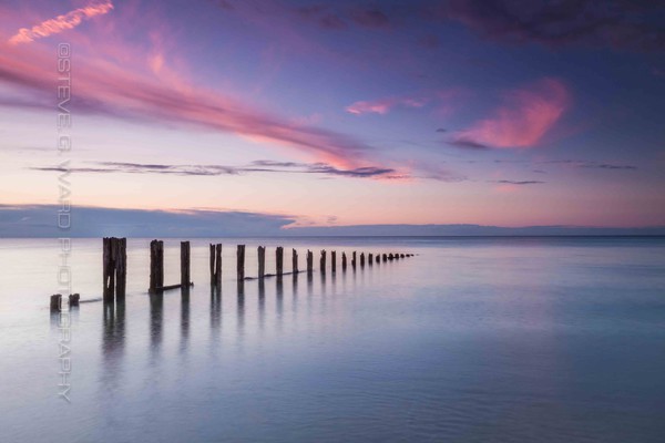 M I S T Y - M I N N I S  -  B A Y