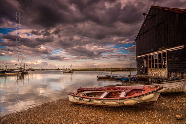 IMG_0022 - T O L L E S B U R Y