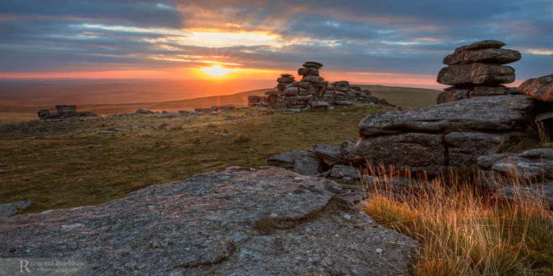 Untamed & Wild - Devon