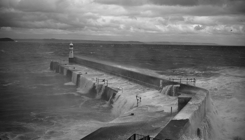 9853 - Stormy Meva