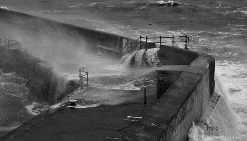 9856 - Stormy Meva