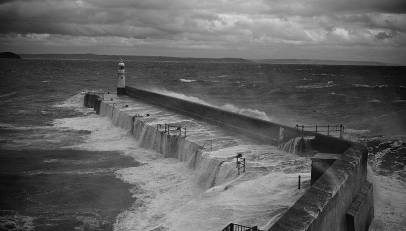 9847 - Stormy Meva