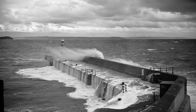 9827 - Stormy Meva