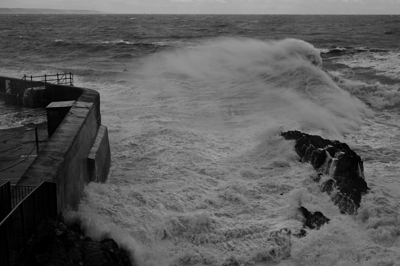 9817 - Stormy Meva