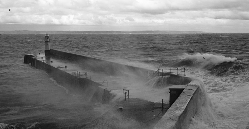 9818 - Stormy Meva
