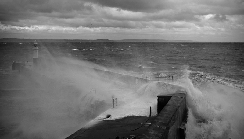 9830 - Stormy Meva
