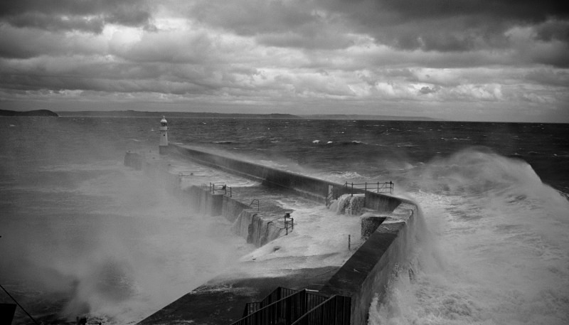 9849 - Stormy Meva