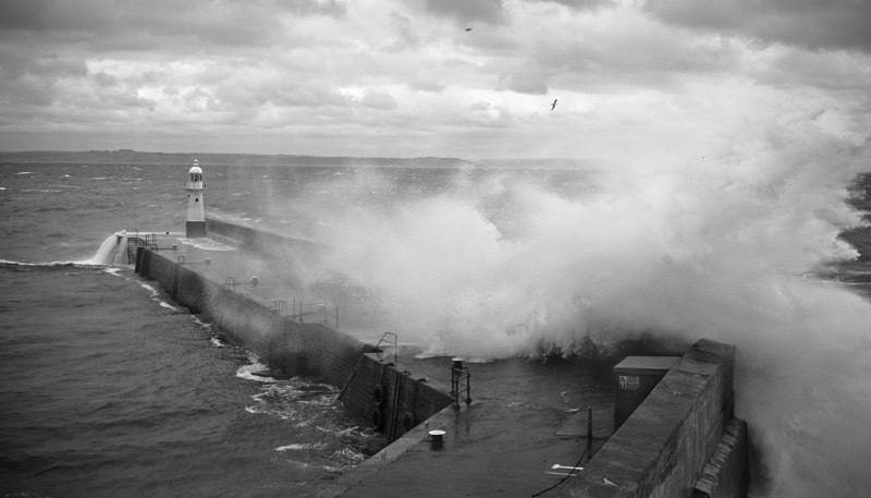 9863 - Stormy Meva