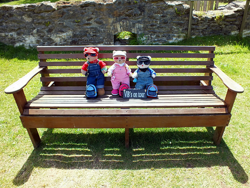 Team Decision - Cornwall VIBs Visit Lappa Valley Railway