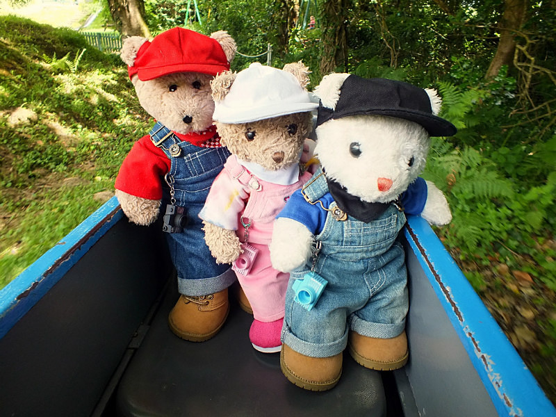 Trevithick Maze - Cornwall VIBs Visit Lappa Valley Railway