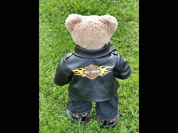 Harley Bear - Gorgeous CJ