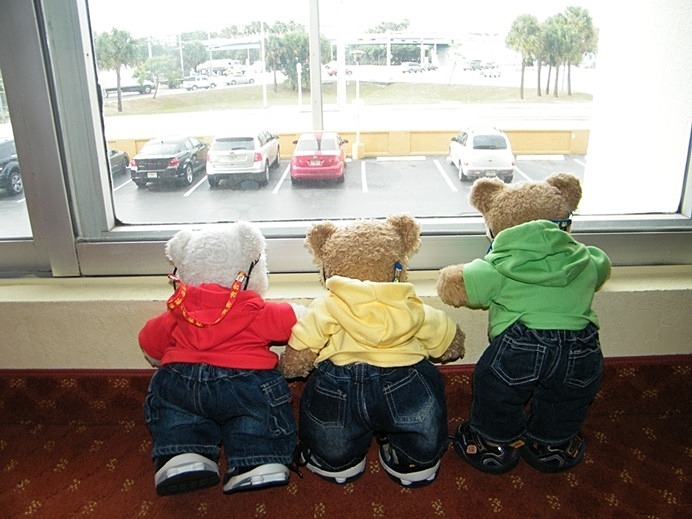 Miami Tourists - Idyllic Life
