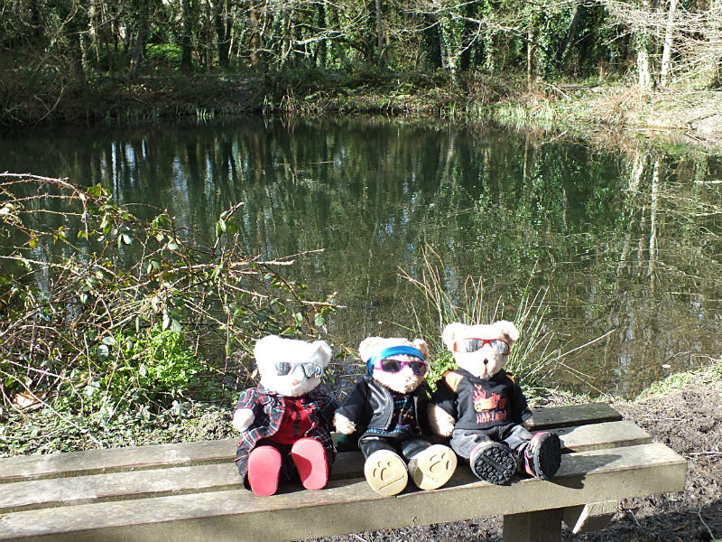 Suntans? - Quading Bears