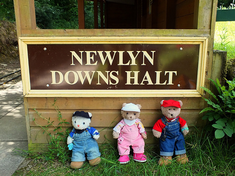 Newlyn Downs Halt - Cornwall VIBs Visit Lappa Valley Railway