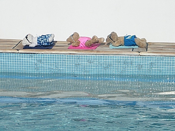 Scorcher - Xmas New Year Egypt