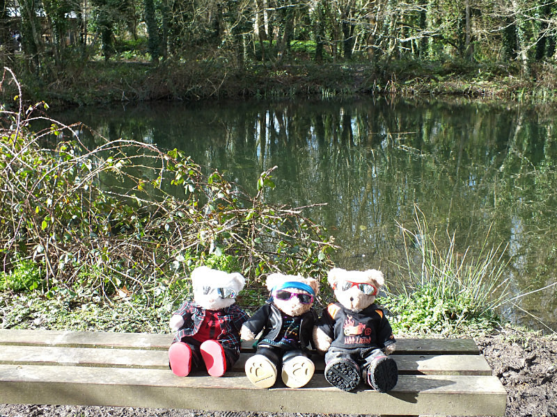 Time & Things - Quading Bears