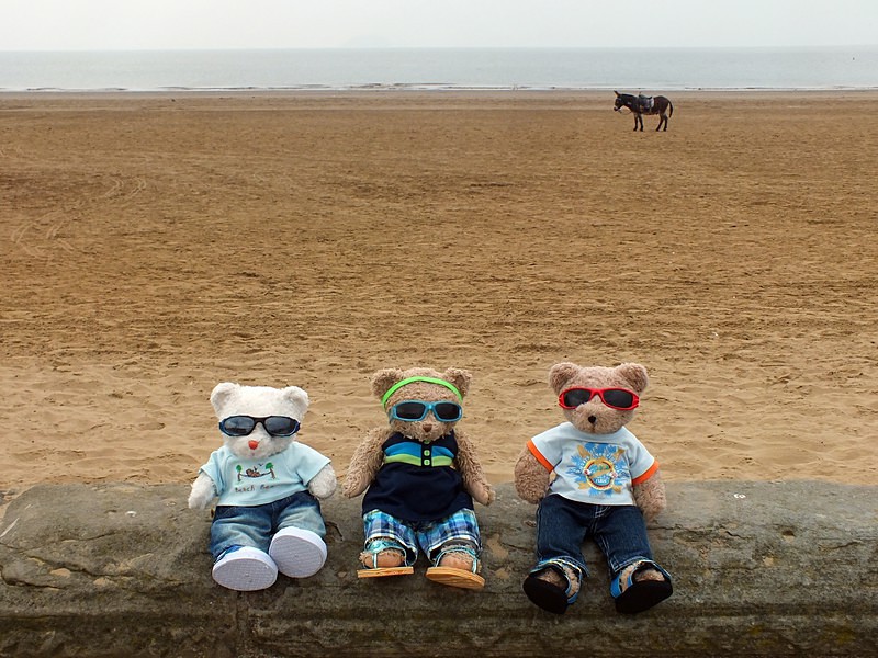 Donkey No Mates - VIBs Weston Super Mare Mini Tour