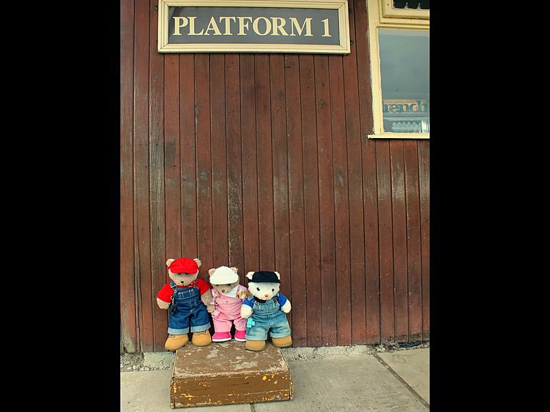 Platform 1 EWR - Cornwall VIBs Visit Lappa Valley Railway