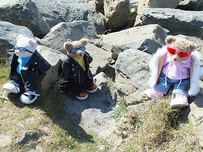 Rock Climbing - Idyllic Life
