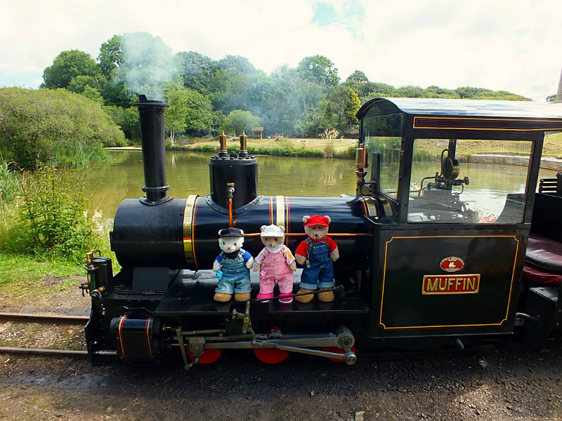 Muffin's so strong - Cornwall VIBs Visit Lappa Valley Railway