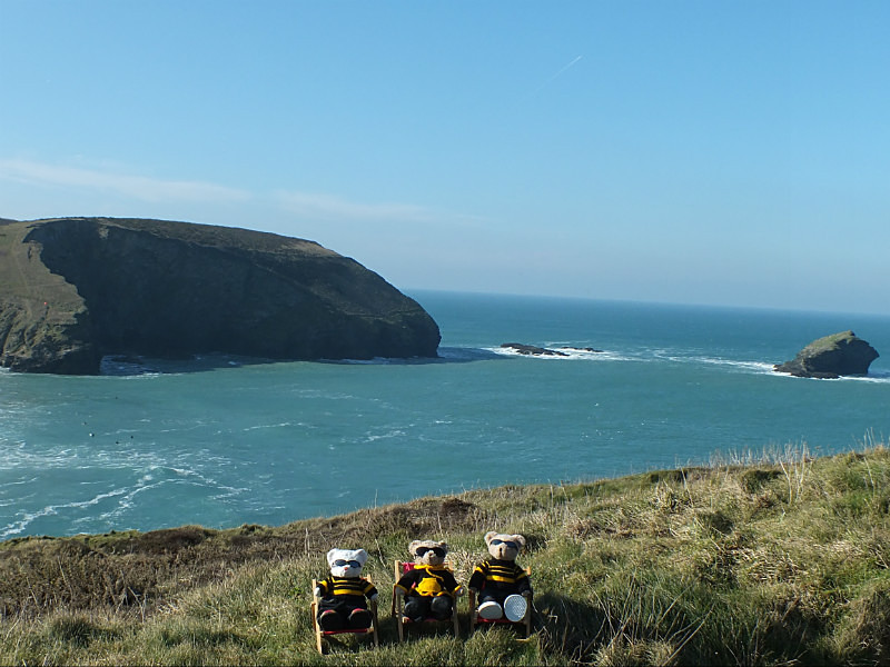 Stylish & Warm - Kernow Bears Gear