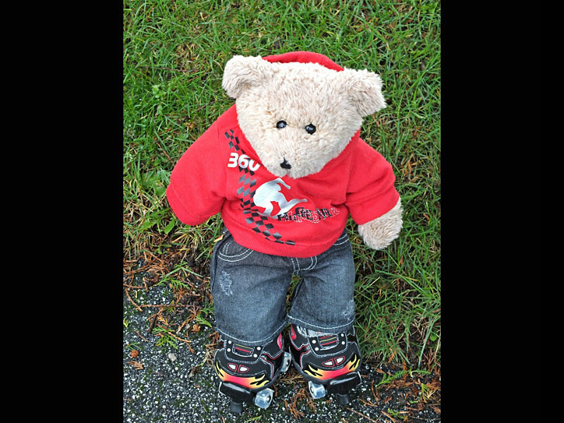 Mr Christian James - Skating Bears