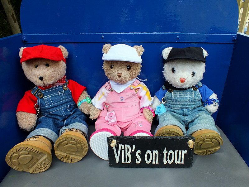 Next Activity - Cornwall VIBs Visit Lappa Valley Railway