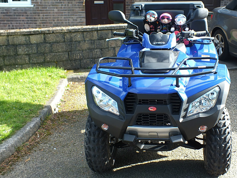 Ready To Go - Quading Bears