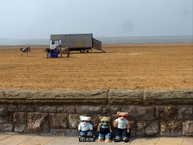 Donkey Rides - VIBs Weston Super Mare Mini Tour