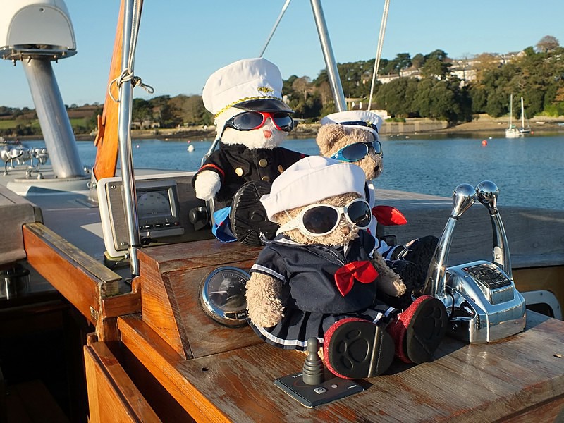  - Ahoy VIBs On Pirate