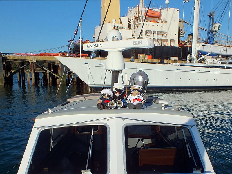  - Ahoy VIBs On Pirate