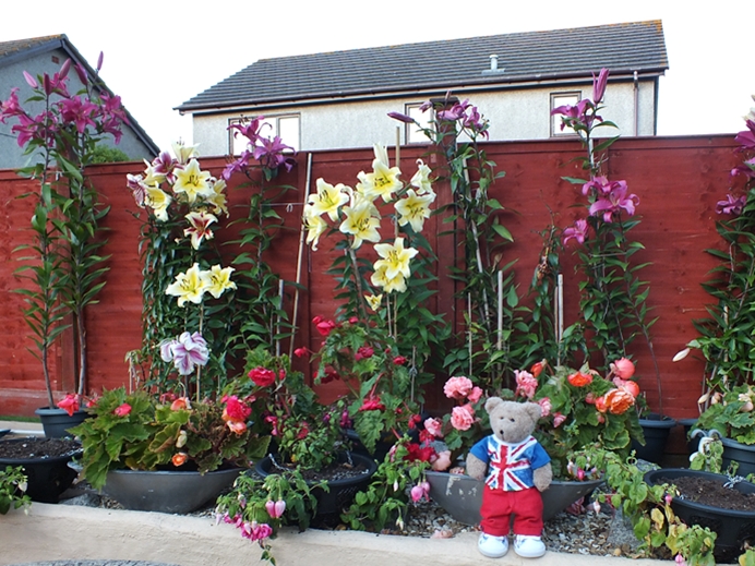 Gardening 1st - Gorgeous CJ