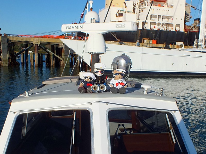  - Ahoy VIBs On Pirate