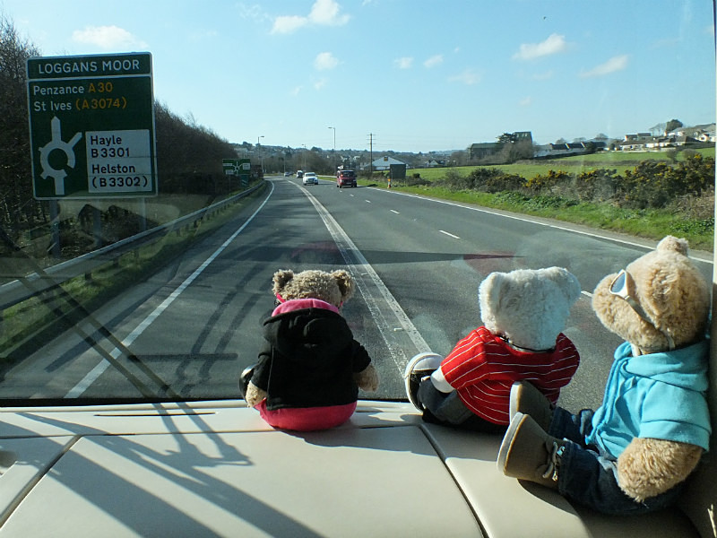 Leisure Bears - Sunday’s VIB’s Rest Day