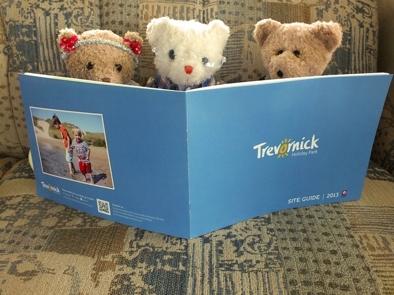  - Trevornick Camping